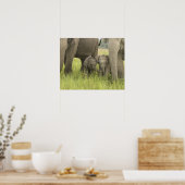 Corbett National Park, Uttaranchal, India. Poster (Keuken)