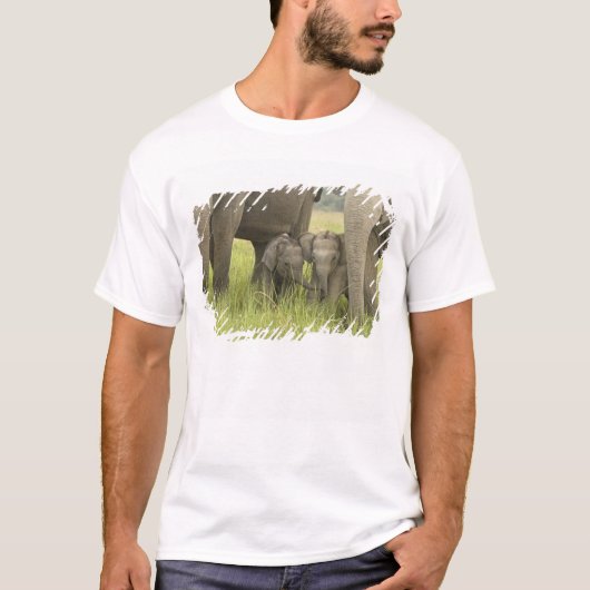 Corbett National Park, Uttaranchal, India. T-shirt (Voorkant)
