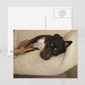 Corby Briefkaart (Voorkant / Achterkant)