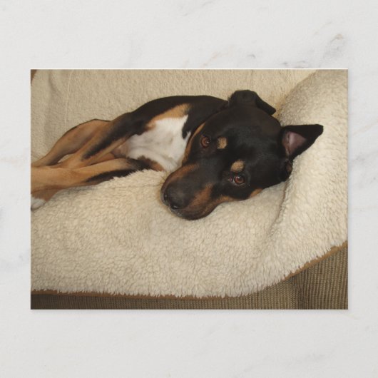 Corby Briefkaart (Voorkant)