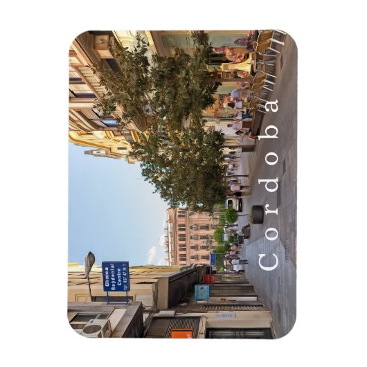 Cordoba. #20. magneet (Verticaal)