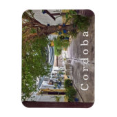 Cordoba. #30. magneet (Verticaal)