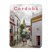 Cordoba. #44. magneet (Verticaal)