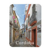 Cordoba. #46. magneet (Verticaal)