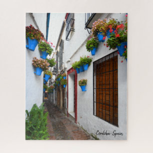 Cordoba Alleyway - het echte Spanje Legpuzzel