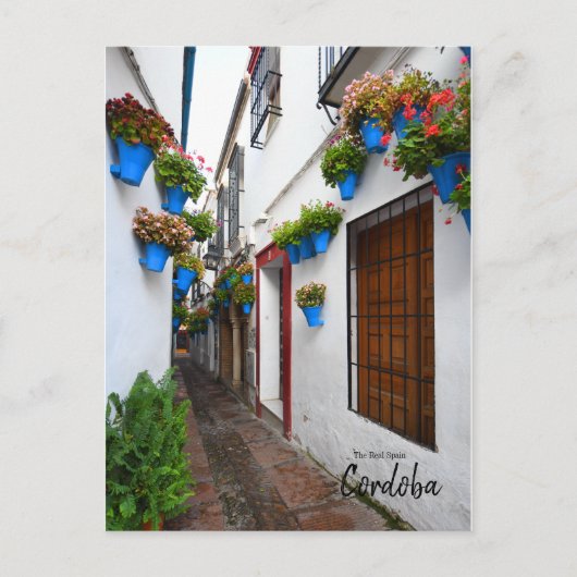 Cordoba Alleyway - Spanje Briefkaart (Voorkant)