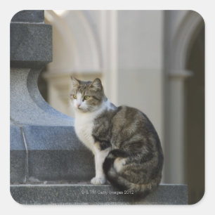 cordoba , argentinië vierkante sticker