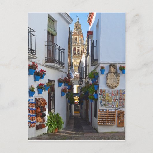 Cordoba Flower Street Briefkaart (Voorkant)