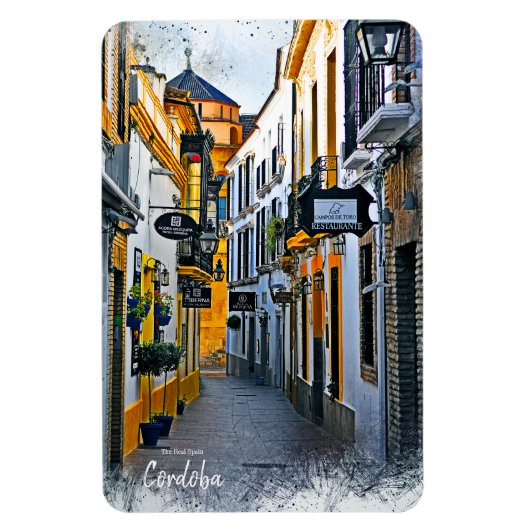 Cordoba Straat -Spanje Ansichtkaart Magneet (Verticaal)
