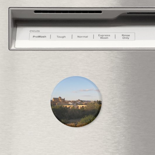 Cordoba uit Afar Magneet (Insitu (Vaatwasser))