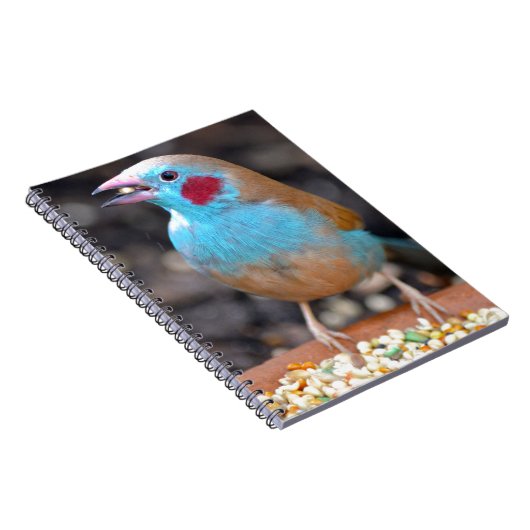 Cordon Bleu Finch Notitieboek (Rechterzijde)