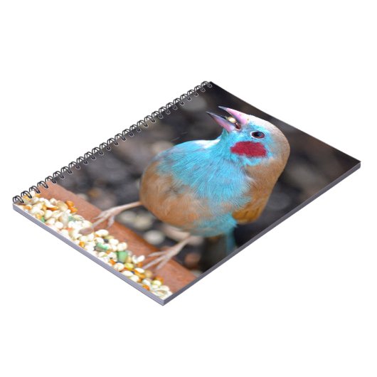 Cordon Bleu Finch Notitieboek (Linkerzijde)