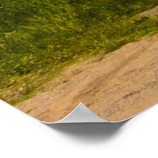 Corea, Maine Poster (Hoek)