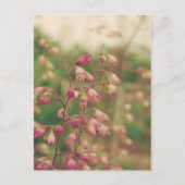 Corelbells, lentevloeren briefkaart (Voorkant)