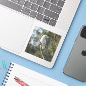 Corella Bird Sticker (Laptop met iPhone)