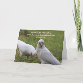 Corella Friendship Quote Wenskaart Bedankkaart