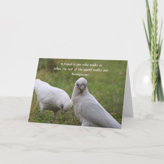 Corella Friendship Quote Wenskaart Bedankkaart (Voorkant)