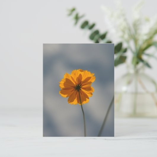 Coreopsis Briefkaart (Staand voorkant)