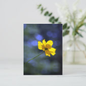 Coreopsis Briefkaart (Staand voorkant)