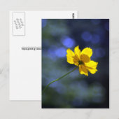 Coreopsis Briefkaart (Voorkant / Achterkant)