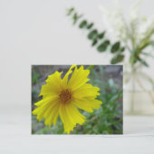 Coreopsis Briefkaart (Staand voorkant)