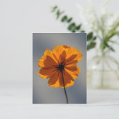 Coreopsis Briefkaart (Staand voorkant)