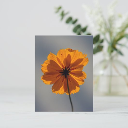 Coreopsis Briefkaart (Staand voorkant)
