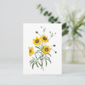 coreopsis (Coreopsis elegans) van Redouté Briefkaart (Staand voorkant)