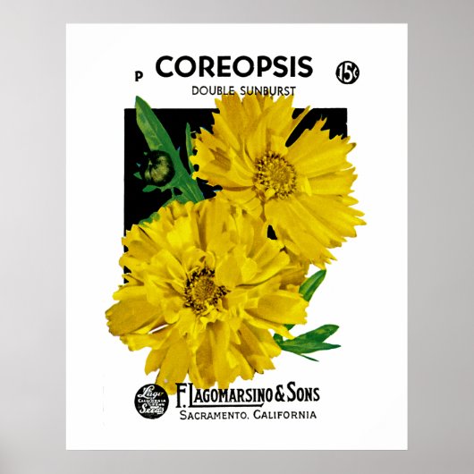 Coreopsis Poster (Voorkant)