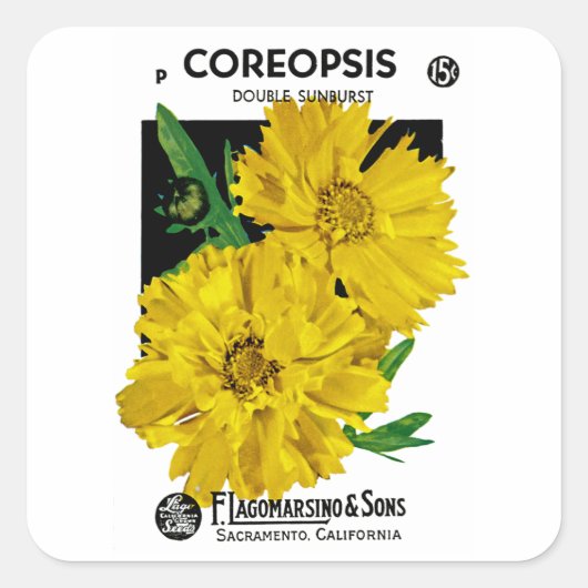 Coreopsis Vierkante Sticker (Voorkant)