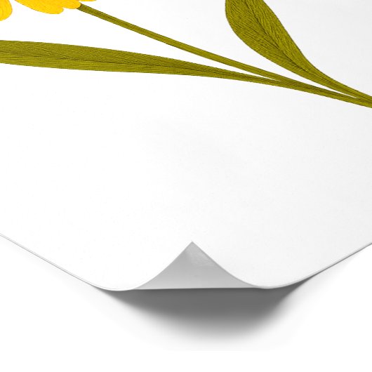 Coreopsis — vrolijkheid poster (Hoek)