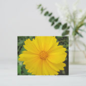 Coreopsis Yellow Flower Bloom Briefkaart (Staand voorkant)