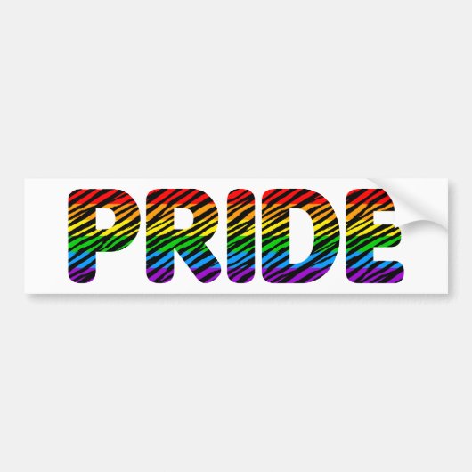 Corey Tijger 80s Retro Pride Regenboog Bumpersticker (Voorkant)