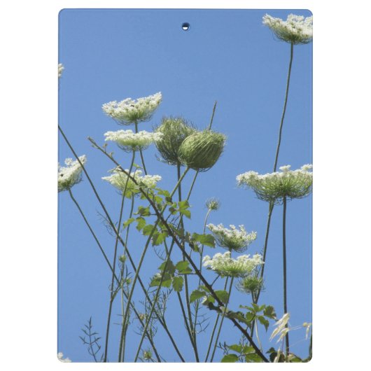 Corfu Cream Wildbloemen Klembord (Achterkant)