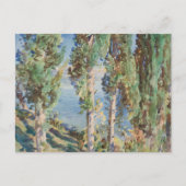 Corfu Cypresses van John Singer Sargent Briefkaart (Voorkant)