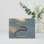 Corfu, Griekenland Briefkaart (Staand voorkant)