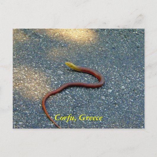 Corfu, Griekenland Briefkaart (Voorkant)