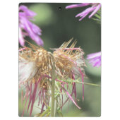 Corfu Lila wilde bloemen Klembord (Achterkant)