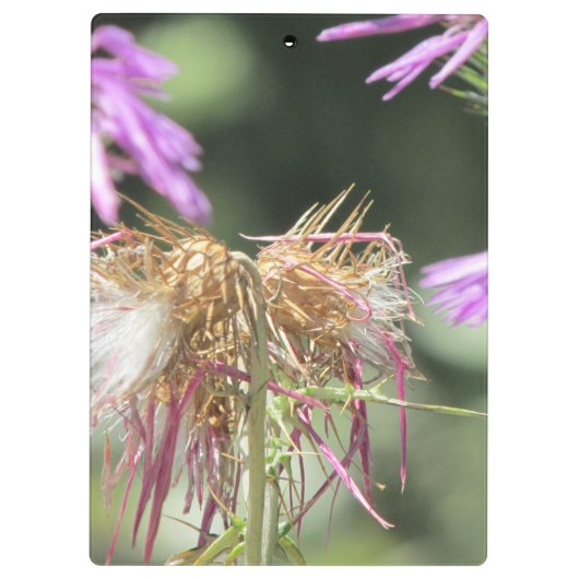 Corfu Lila wilde bloemen Klembord (Achterkant)