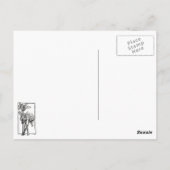 Corfu oud fort briefkaart (Achterkant)