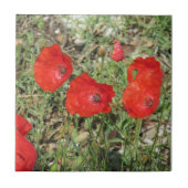 Corfu Red Poppies Ceramic Tile Tegeltje (Voorkant)