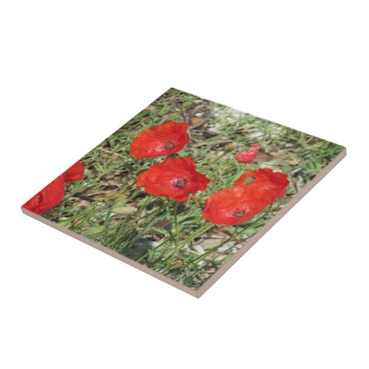Corfu Red Poppies Ceramic Tile Tegeltje (Zijkant)