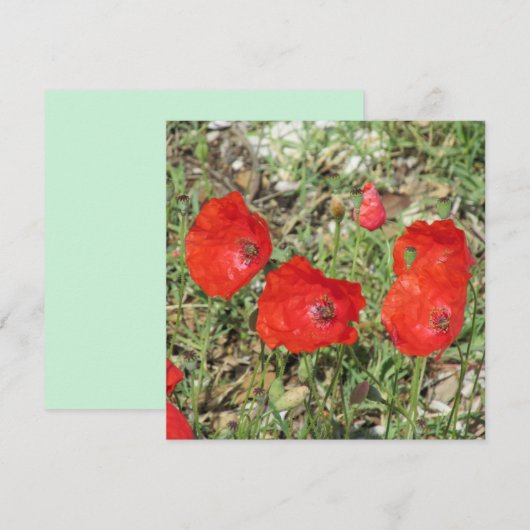 Corfu Red Poppies Flat Kaart (Voorkant / Achterkant)