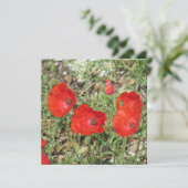 Corfu Red Poppies Flat Kaart (Staand voorkant)