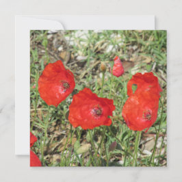 Corfu Red Poppies Flat Kaart