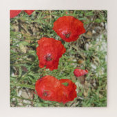 Corfu Red Poppies Jigzaag Puzzle Legpuzzel (Horizontaal)