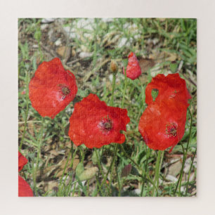 Corfu Red Poppies Jigzaag Puzzle Legpuzzel