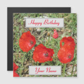 Corfu Red Poppies Magnetic Birthday Card (Voorkant / Achterkant)
