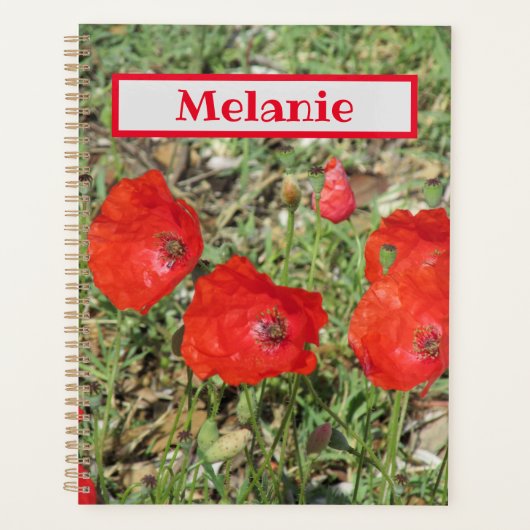 Corfu Red Poppies Planner (Voorkant)