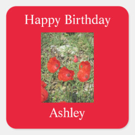 Corfu Red Poppies Sticker